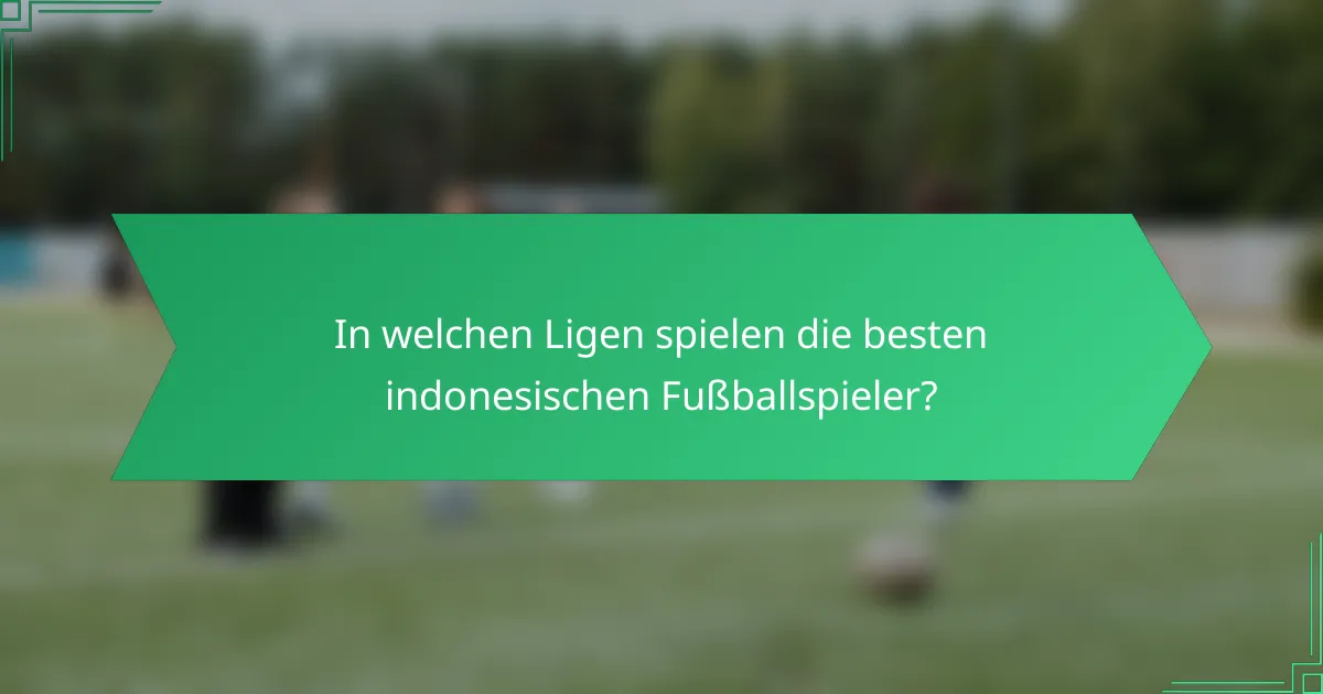 In welchen Ligen spielen die besten indonesischen Fußballspieler?