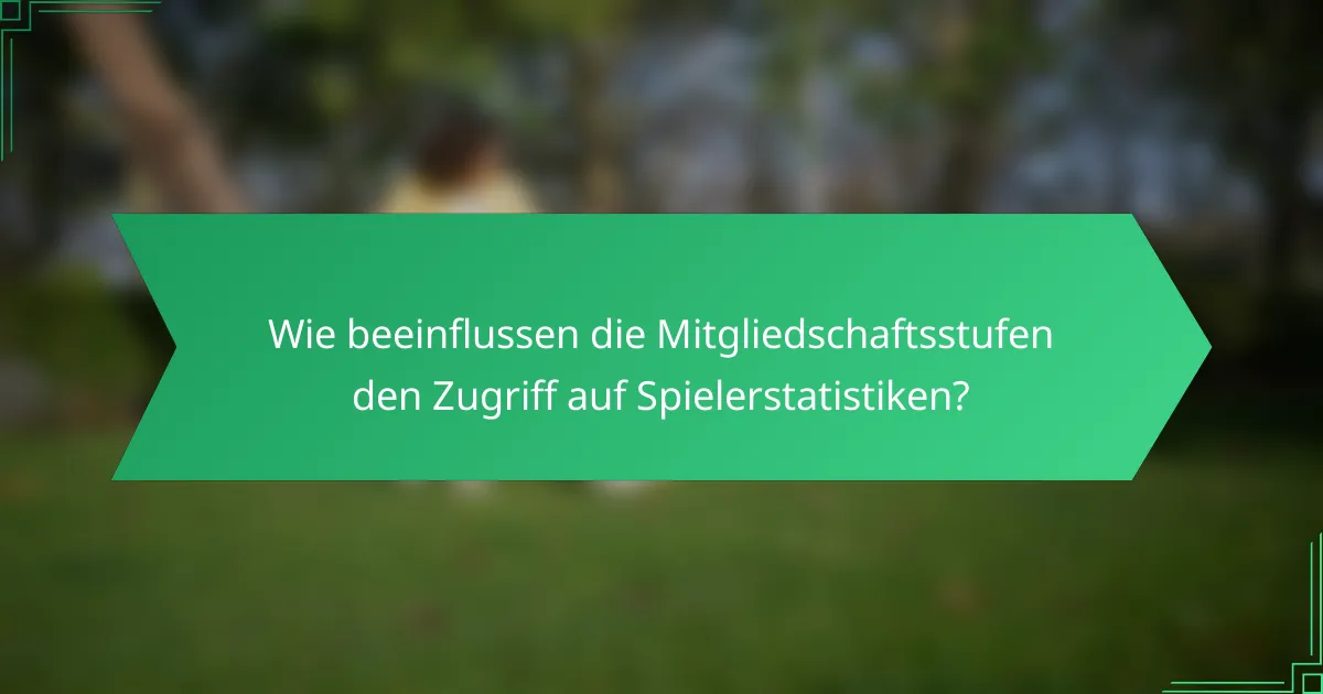 Wie beeinflussen die Mitgliedschaftsstufen den Zugriff auf Spielerstatistiken?