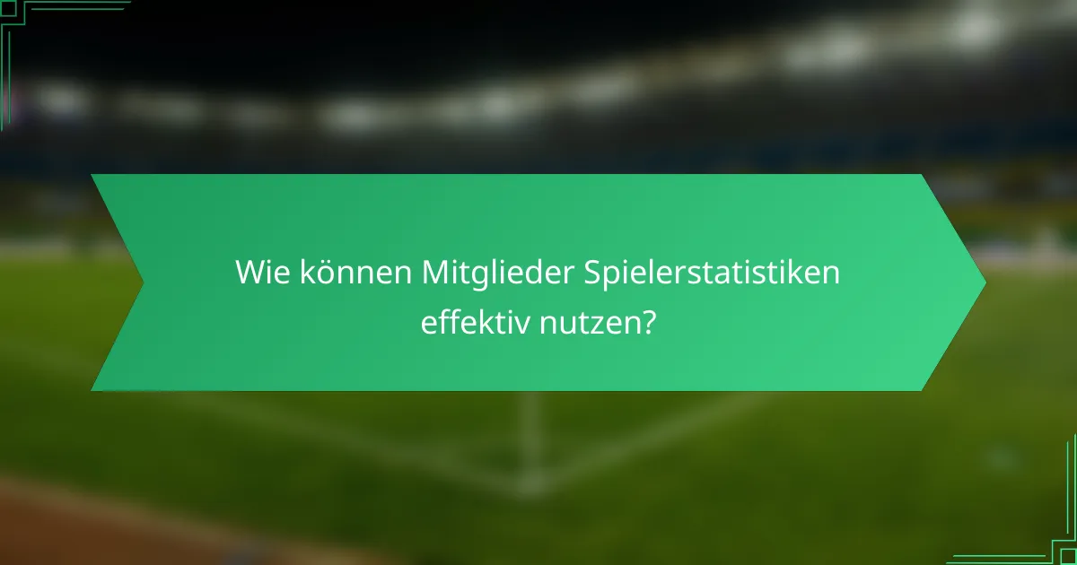 Wie können Mitglieder Spielerstatistiken effektiv nutzen?